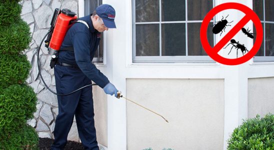 Adalar Karınca İlaçlama böcek ilaçlama ve haşere kontrolü — ilaclama-tr.com